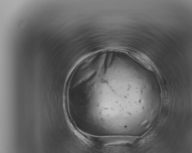 X0000059800955200510281635