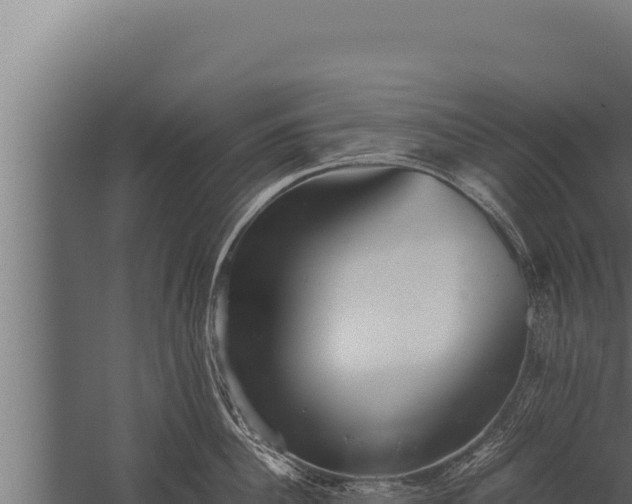 X0000059800956200510281635