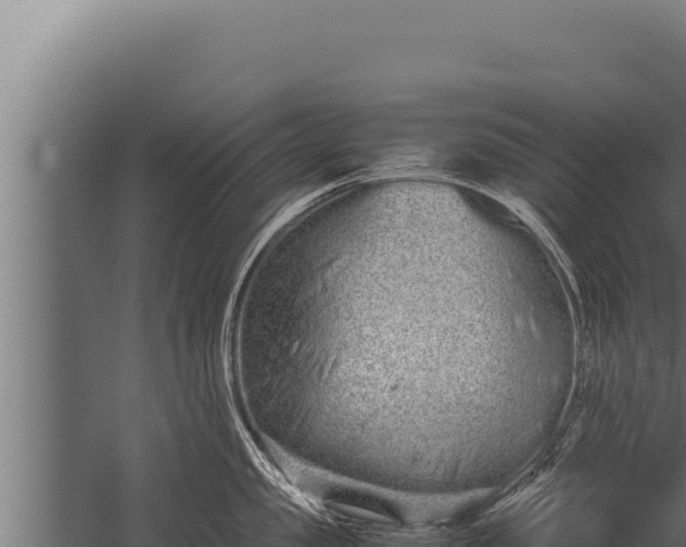 X0000059800957200510281635