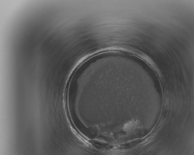 X0000059800958200510281635