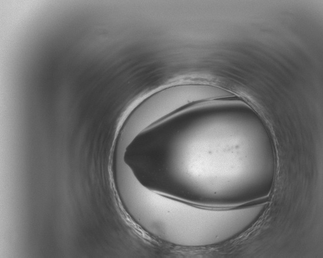 X0000059800960200510281635