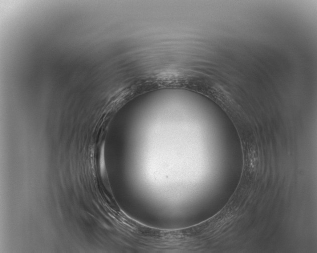 X0000059800964200510281634