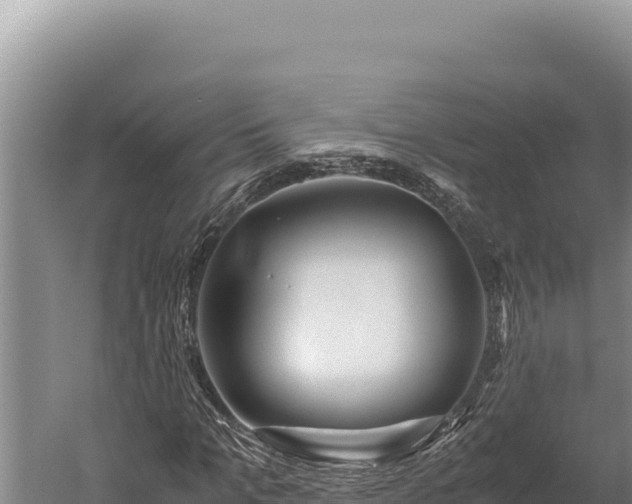 X0000059800965200510281634