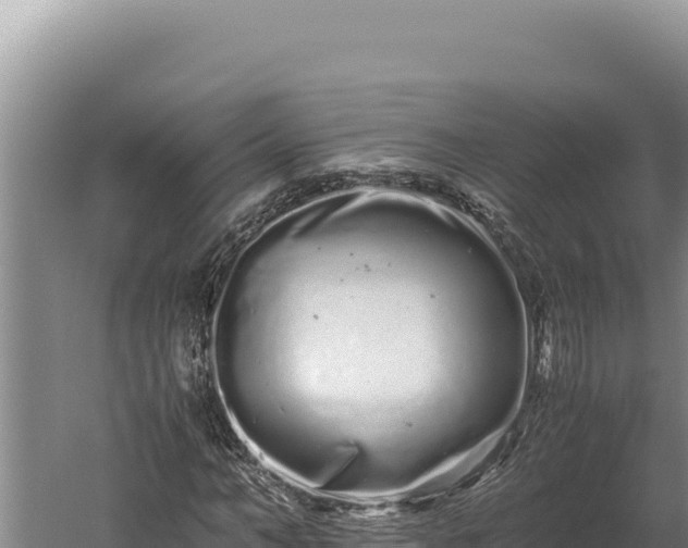 X0000059800966200510281634