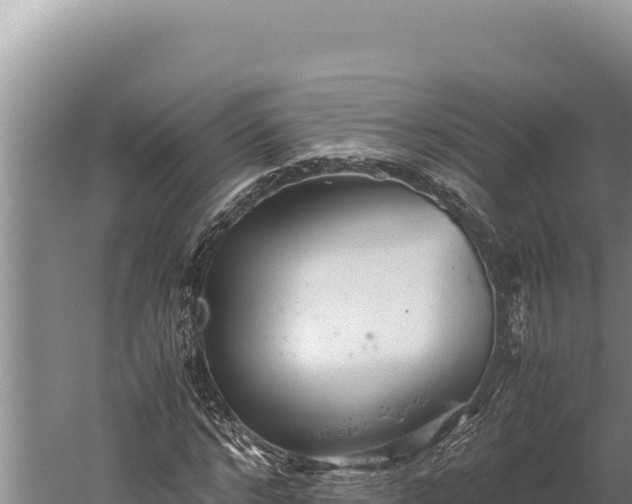 X0000059800968200510281634