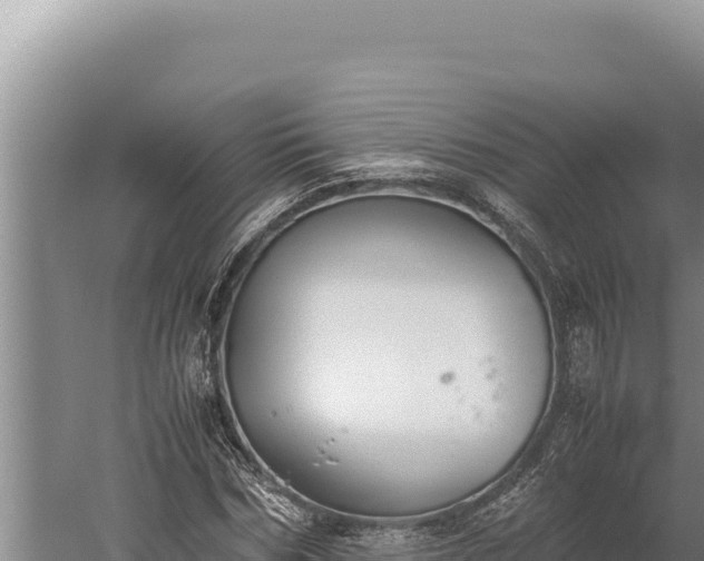 X0000059800970200510281634