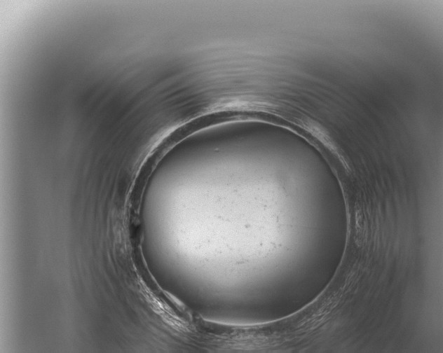 X0000059800972200510281634