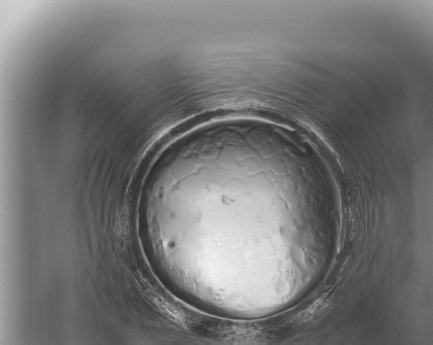 X0000059800975200510281634