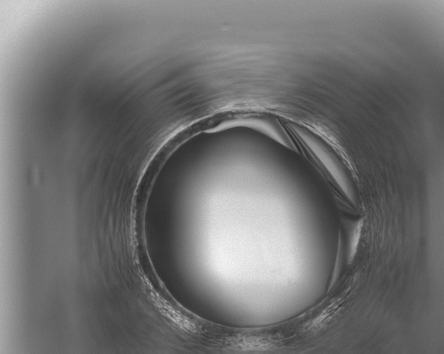 X0000059800976200510281634