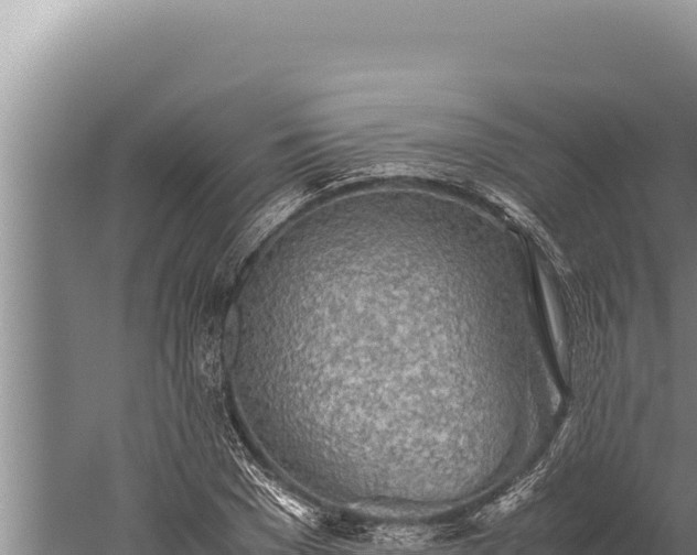 X0000059800977200510281634