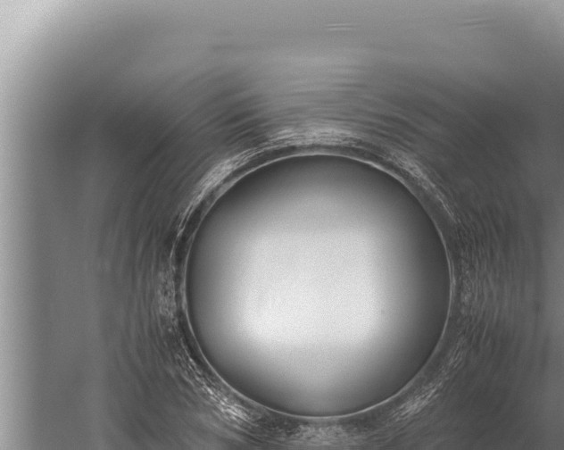 X0000059800978200510281634