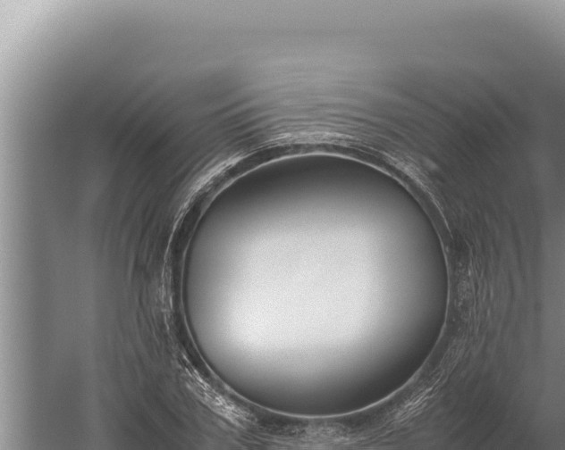 X0000059800979200510281634