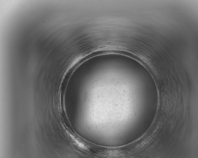 X0000059800982200510281634