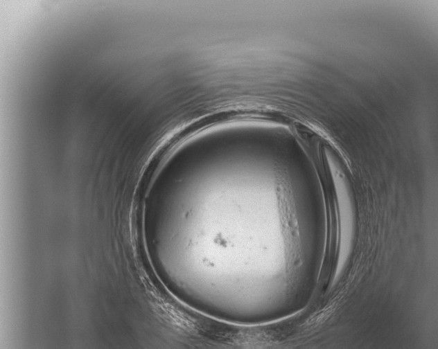 X0000059800983200510281634