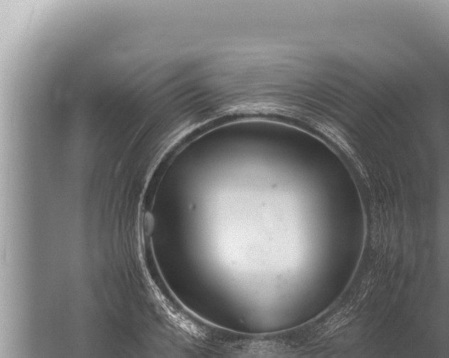 X0000059800984200510281634