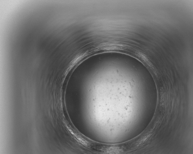 X0000059800986200510281634