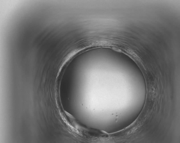 X0000059800989200510281634