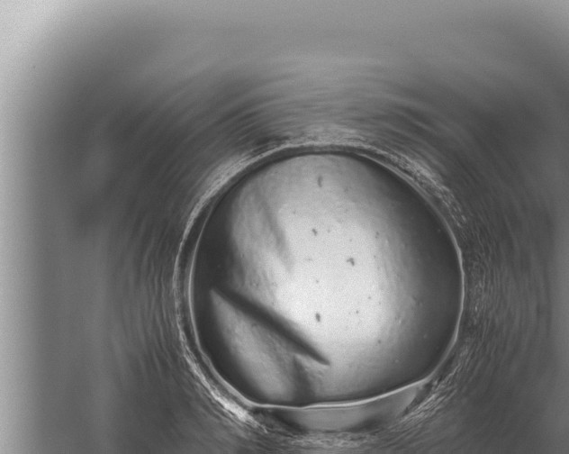 X0000059800990200510281634