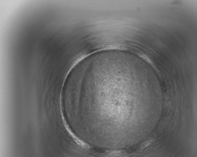 X0000059800991200510281634