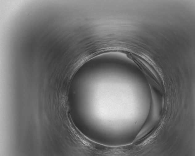 X0000059800993200510281634