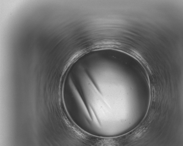 X0000059800994200510281634