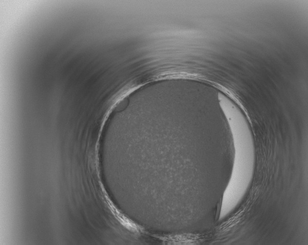 X0000059800995200510281634