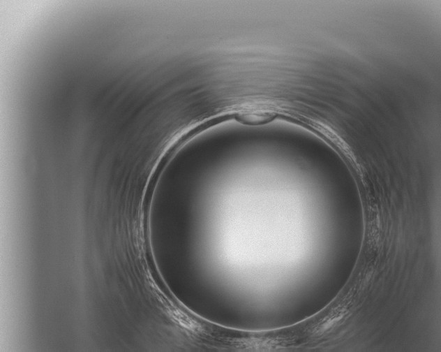 X0000059800996200510281634