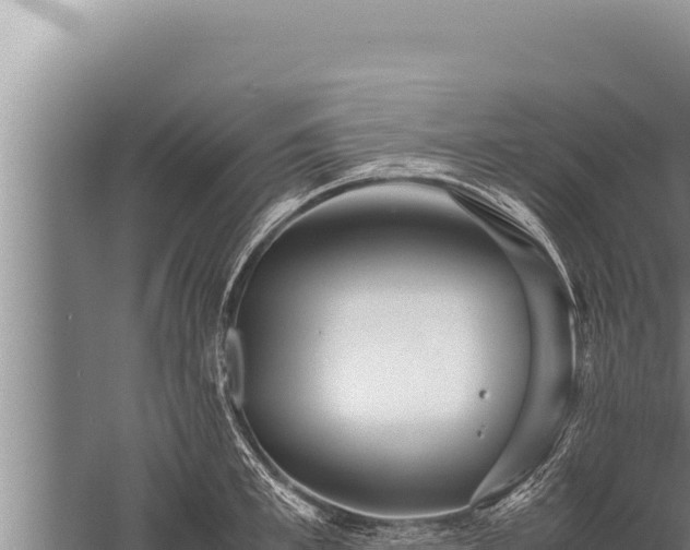 X0000059800997200510281634