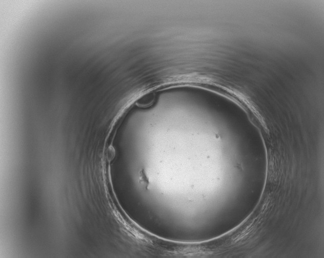 X0000059800998200510281634