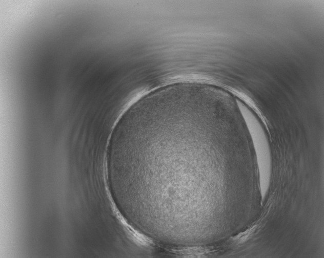 X0000059800999200510281634