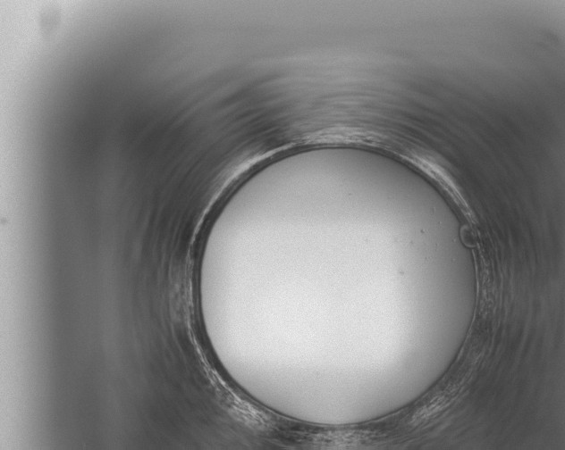 X0000059801000200510281634