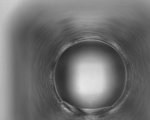 X0000059801001200510281634