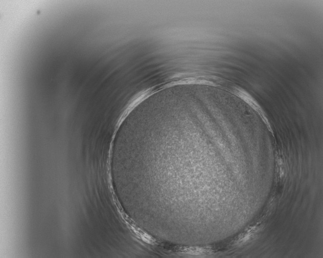 X0000059801002200510281634