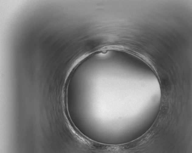 X0000059801003200510281634