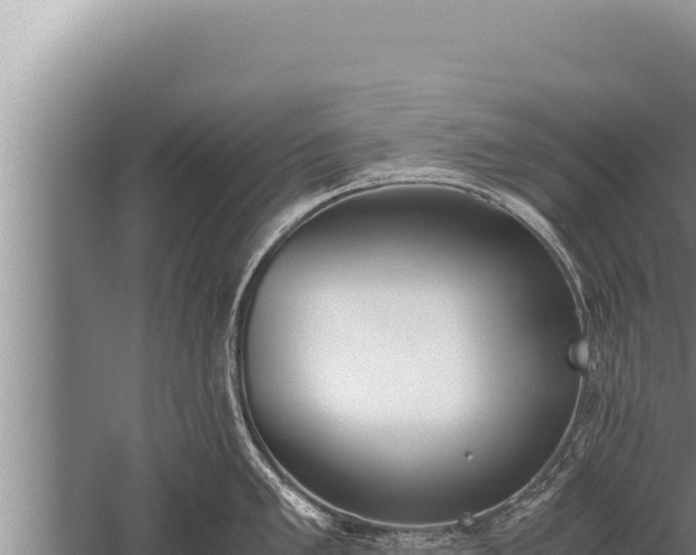 X0000059801005200510281634