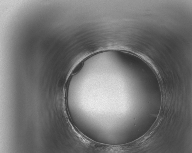 X0000059801006200510281634