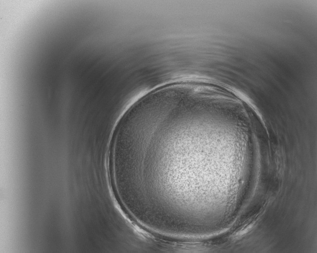 X0000059801007200510281634