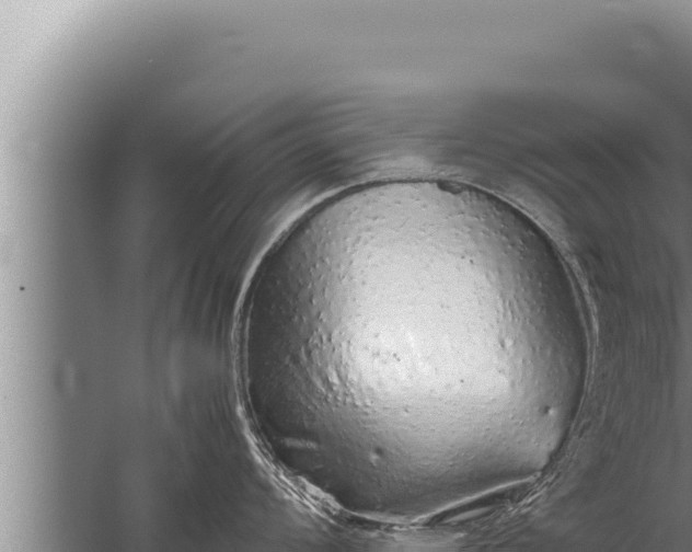 X0000059801008200510281634