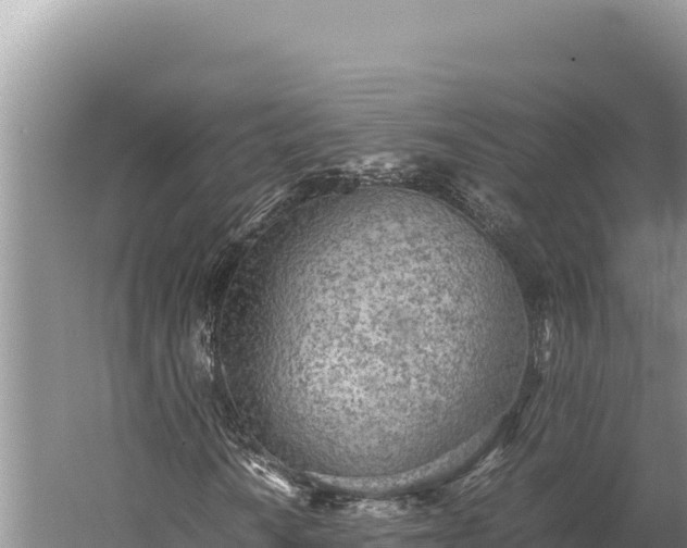 X0000059801010200510281633