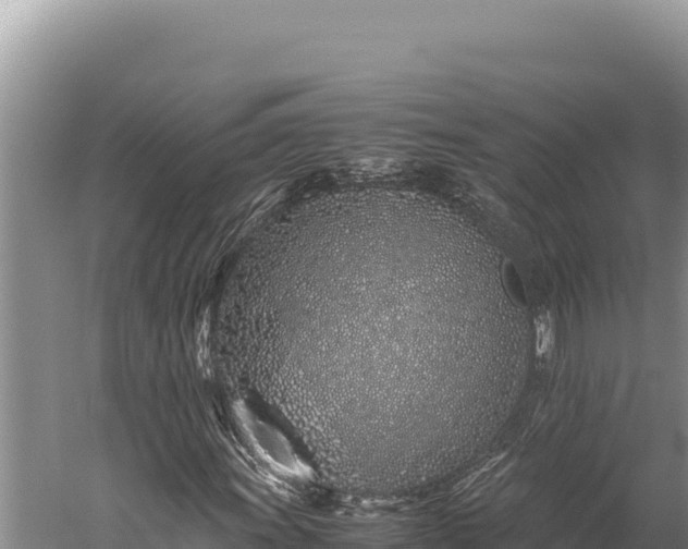 X0000059801011200510281633