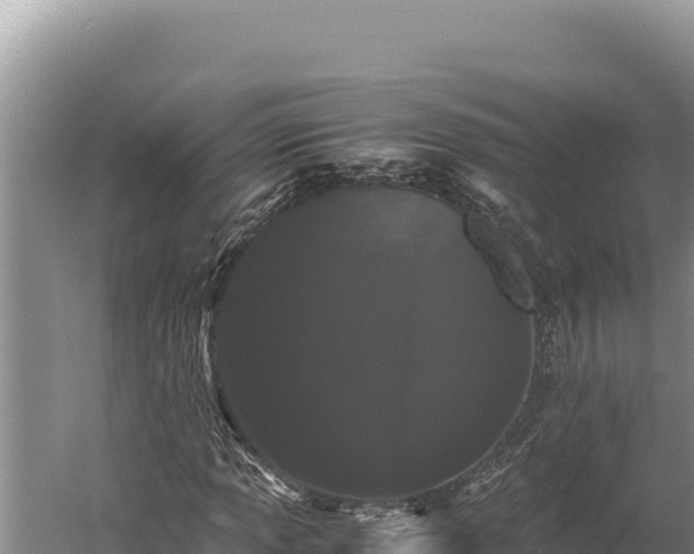 X0000059801013200510281633