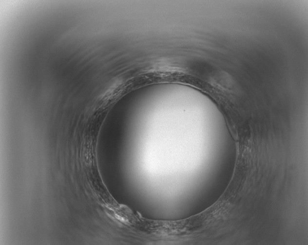 X0000059801014200510281633