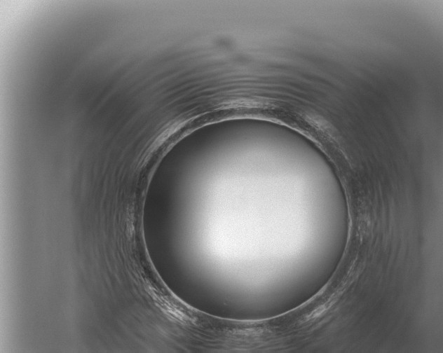 X0000059801017200510281633