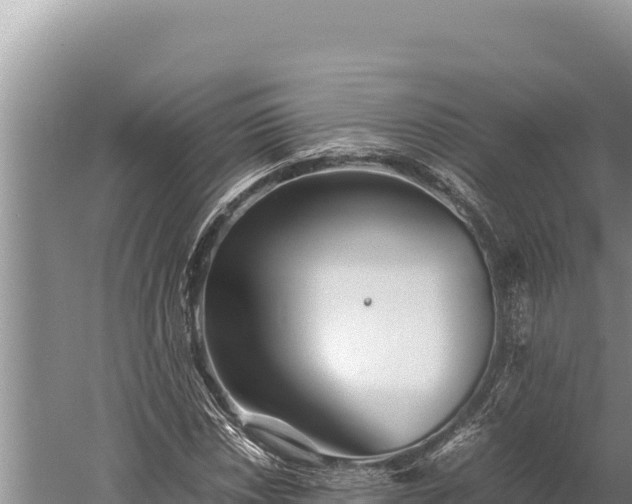 X0000059801018200510281633