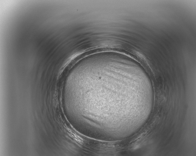 X0000059801019200510281633