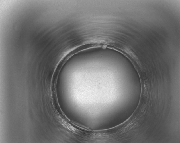 X0000059801020200510281633