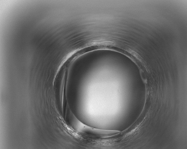 X0000059801022200510281633