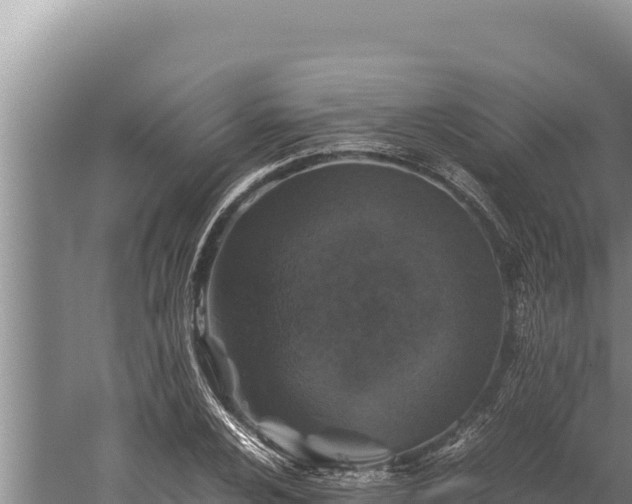 X0000059801024200510281633