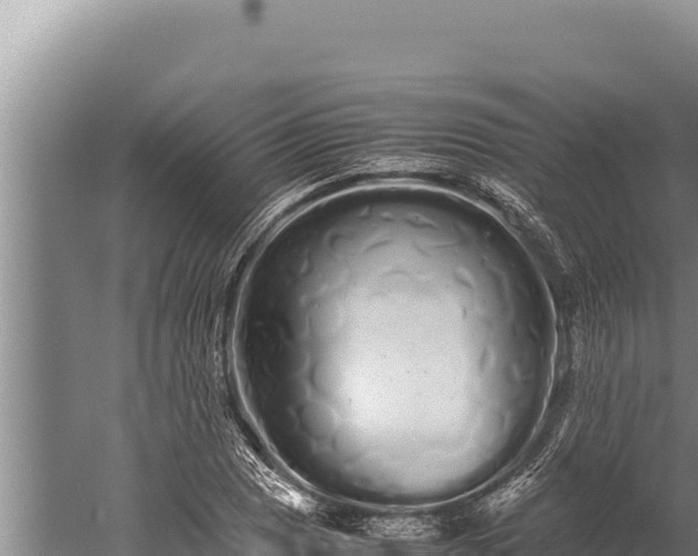 X0000059801025200510281633