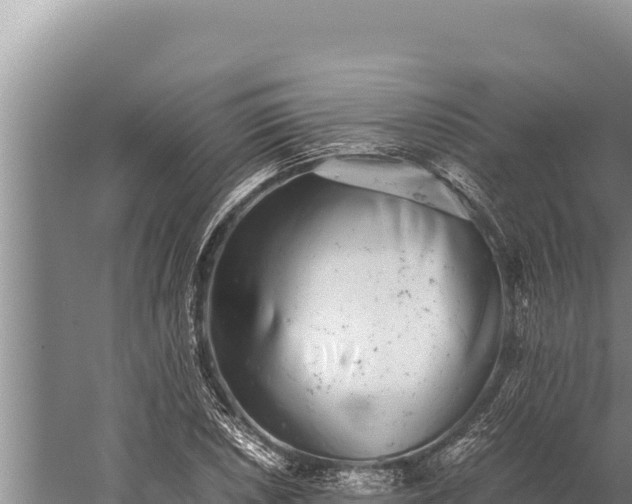 X0000059801026200510281633